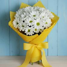 Букет цветов из:  Хризантемы в Товарково Тульская область 