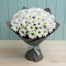 Букет цветов из:  Хризантемы в Товарково Тульская область 
