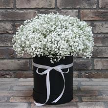 Цветочная композиция из Гипсофила в шляпной коробке #REPLACE_PRED# Товарково Тульская область 